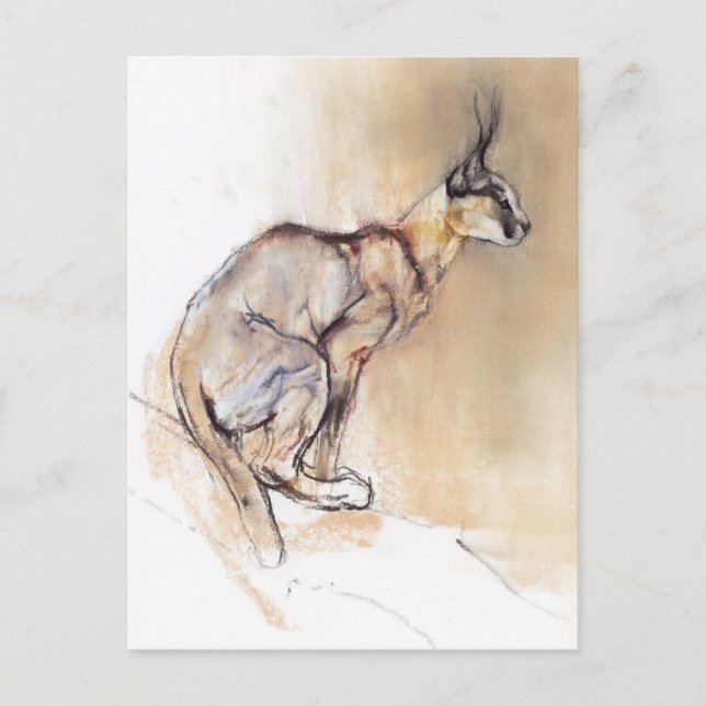 Postal Caracal sentado 2009 (Anverso)