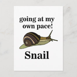 Postal Caracol En Mi Propio Caracol Funny Snail