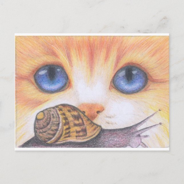 Postal Caracol y gato (Anverso)