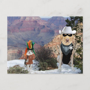 Postal Caracteres occidentales divertidos de gato y perro