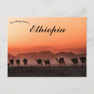 Postal Caravana de camellos en Dallol Etiopía