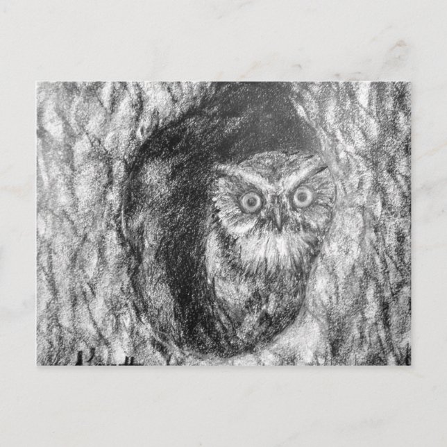 Postal Carbón de búhos de protección de grilletes, dibujo (Anverso)