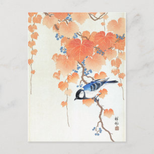 Postal Carbonero común en rama de paulownia - Ohara Koson