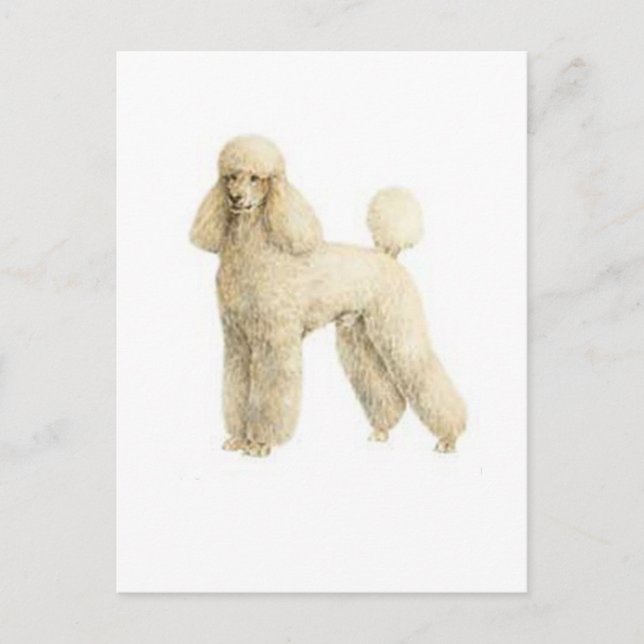 Postal Carbono — Clip de Cachorro (Anverso)