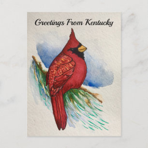 Postal Cardenal de aves del estado de Kentucky