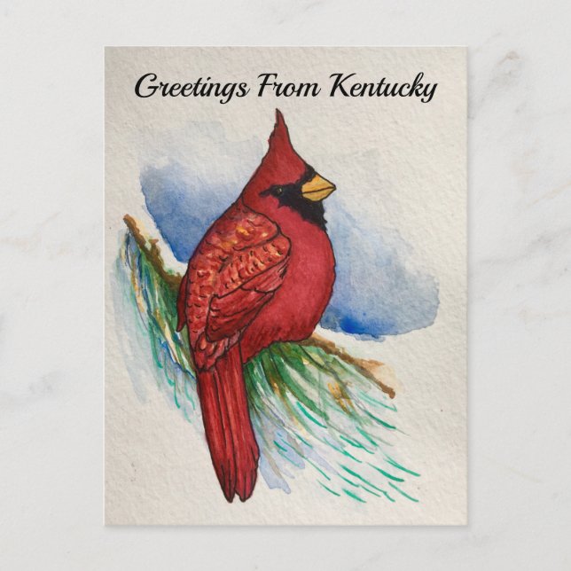 Postal Cardenal de aves del estado de Kentucky (Anverso)