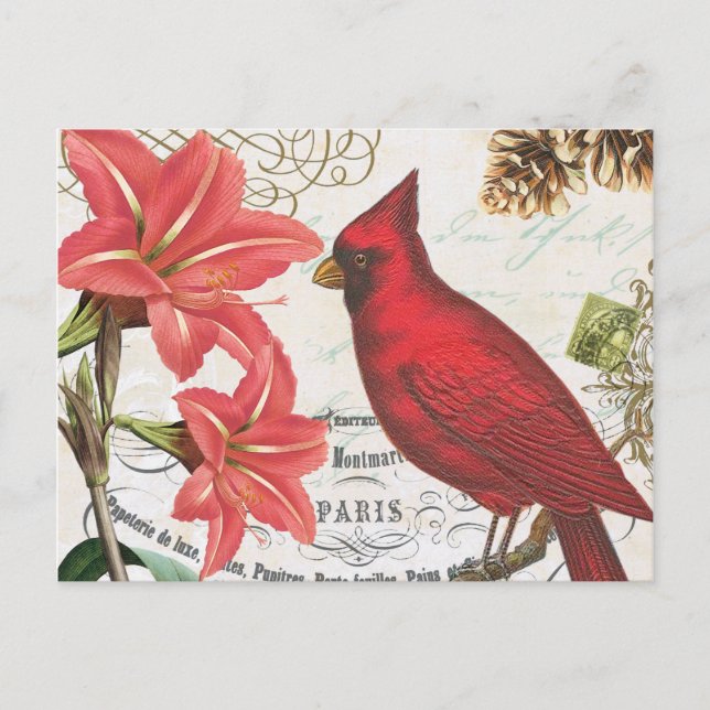 Postal cardenal de invierno vintage (Anverso)