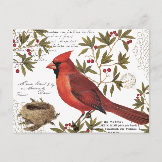 Postal cardenal de invierno vintage moderno (Anverso)