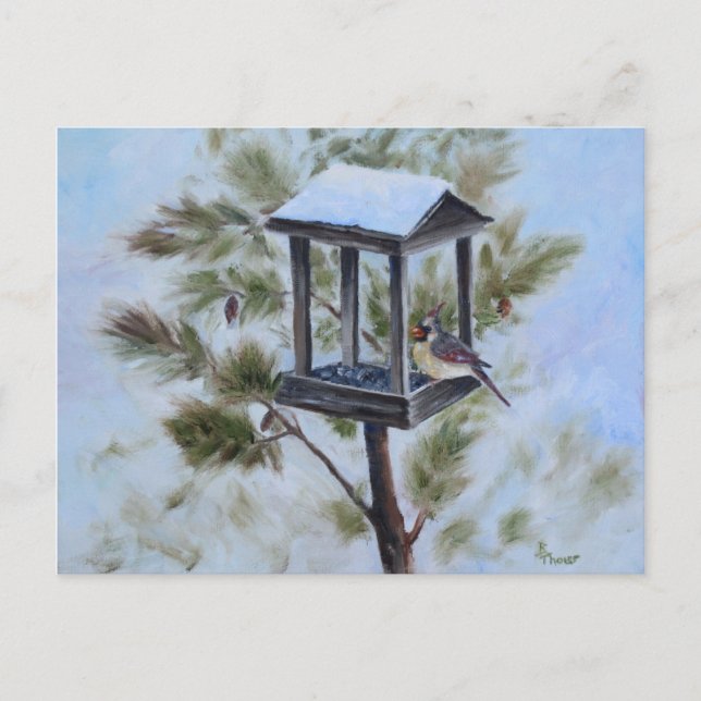Postal Cardenal de invierno visitante (Anverso)