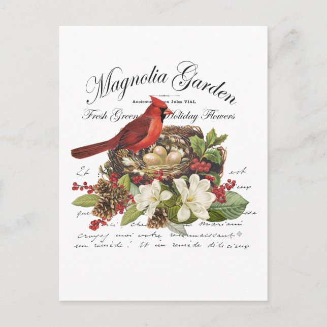 Postal Cardenal de Navidad moderno y vintage (Anverso)