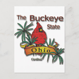 Postal Cardenal de Ohio Buckeye