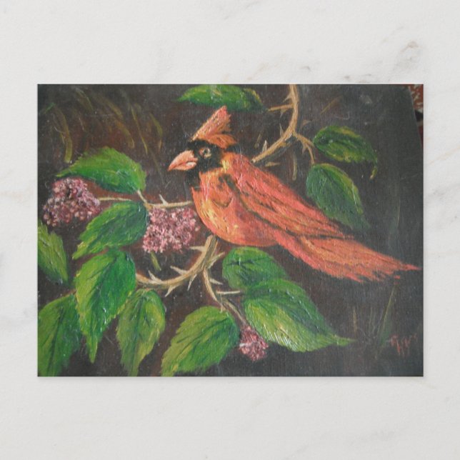 Postal Cardenal de pintura de Postcard Ann Hayes (Anverso)
