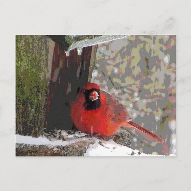 Postal Cardenal en el alimentador (Anverso)