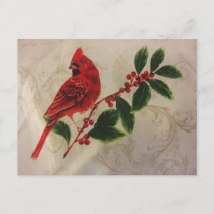Postal Cardenal en Holly Bush