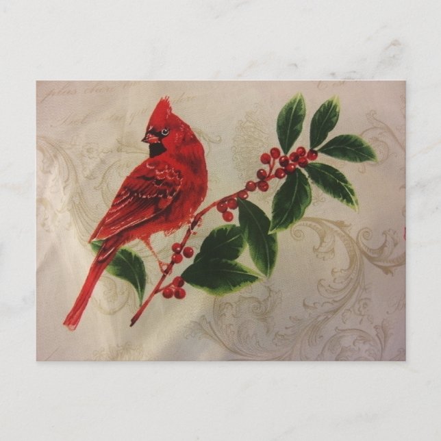 Postal Cardenal en Holly Bush (Anverso)