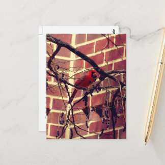 Postal Cardenal en la biblioteca de 43