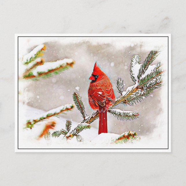 Postal Cardenal en un pino (Anverso)