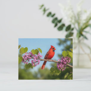 Postal Cardenal en una rama de Redbud