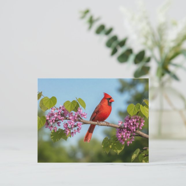 Postal Cardenal en una rama de Redbud (Anverso de pie)