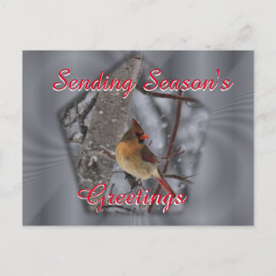 Postal Cardenal femenino de postcard- personaliza como se