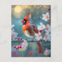 Cardenal macho a la luz de la luna Flores de cerez
