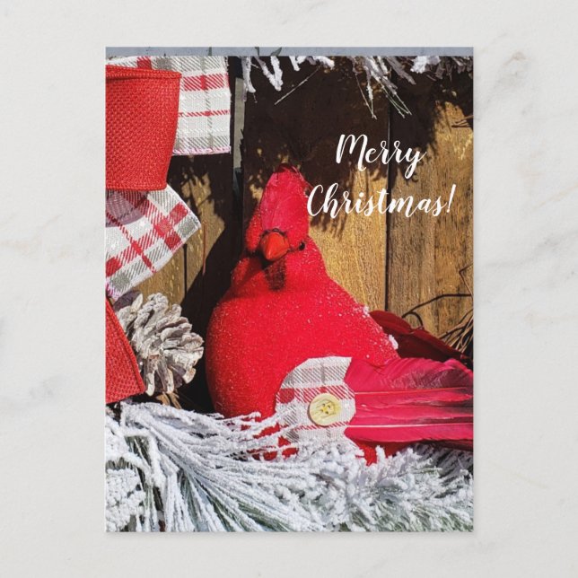 Postal Cardenal navideño (Anverso)