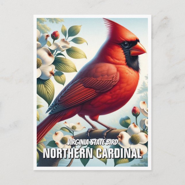 Postal Cardenal norte de pájaro del estado de Virginia (Anverso)
