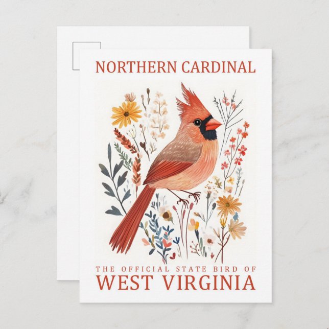 Postal Cardenal norte de Virginia Occidental (Anverso / Reverso)