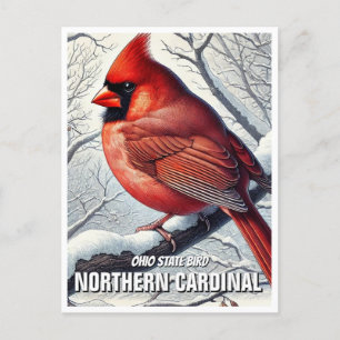 Postal Cardenal norte del estado de Ohio