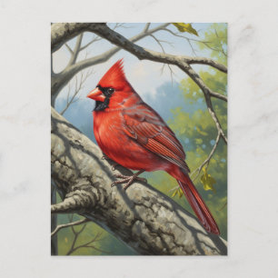 Postal Cardenal norte del estado de Virginia Occidental