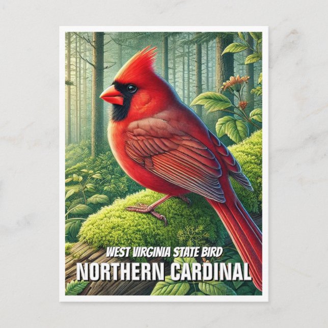 Postal Cardenal norte del estado de Virginia Occidental (Anverso)