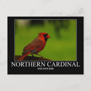 Postal Cardenal Norteño