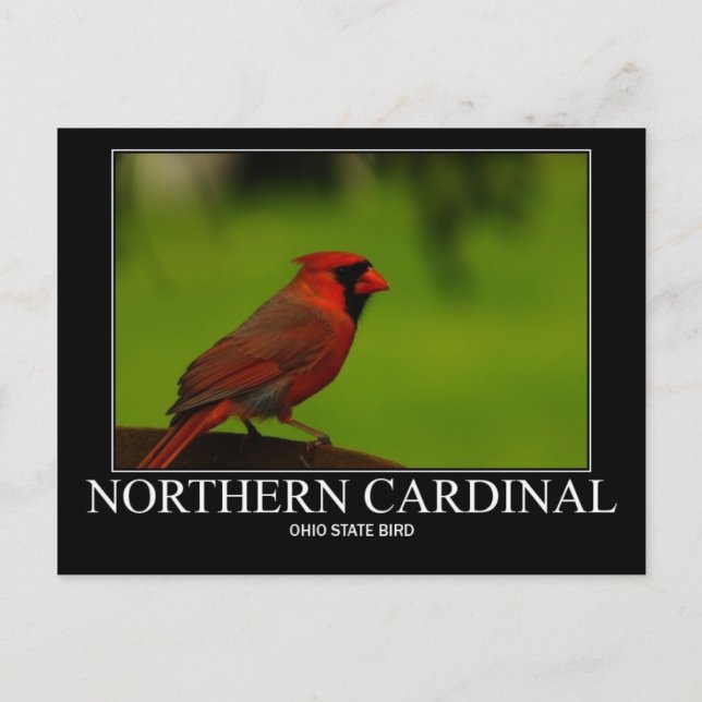 Postal Cardenal Norteño (Anverso)