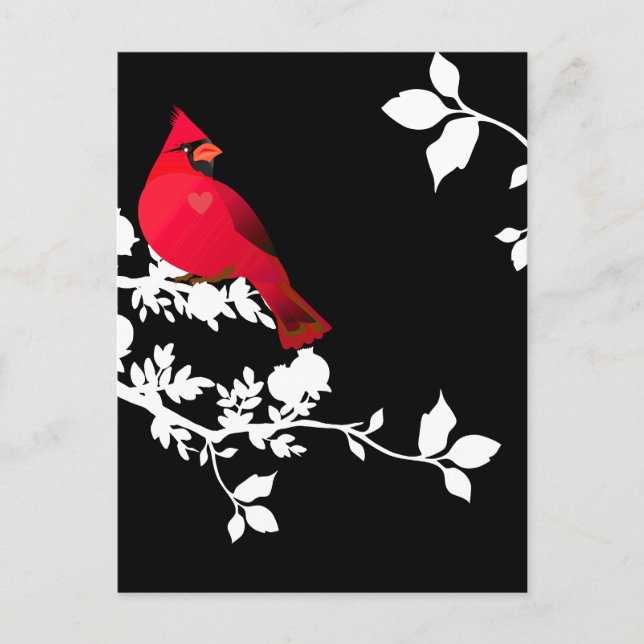 Postal Cardenal Red Bird Black White Moderne Greeting (Anverso)