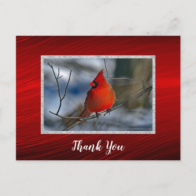 Postal Cardenal Red Winter Photo You (Anverso)