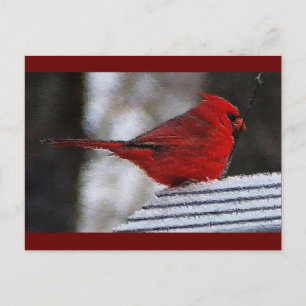 Postal Cardenal Richelieu