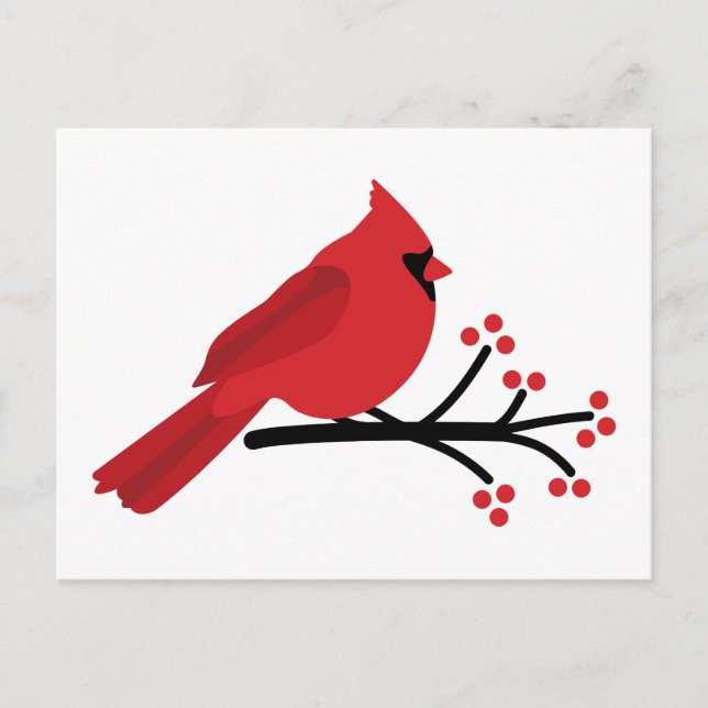 Postal Cardenal rojo (Anverso)