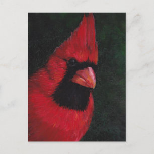 Postal Cardenal Rojo Cardinal Bird Art Postcard