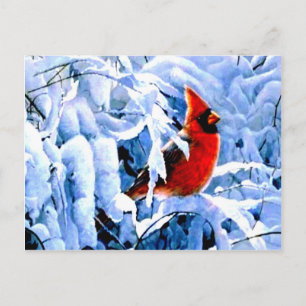Postal Cardenal rojo en la nieve de invierno