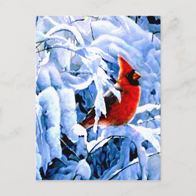 Postal Cardenal rojo en la nieve de invierno (Anverso)