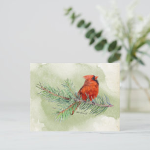 Postal Cardenal Rojo Hermosa Acuarela Rusa