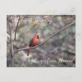 Postal Cardenal rojo mensajero de la simpatía del cielo
