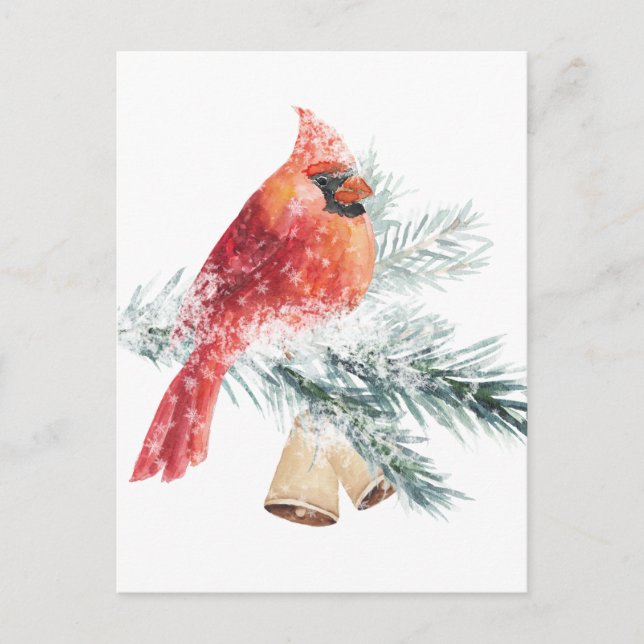 Postal Cardenal rojo Snowy Blue Spruce Branch Winter Scen (Anverso)