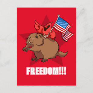 Postal Cardenal Rojo y Marmota Divertidos ¡Libertad! Dibu