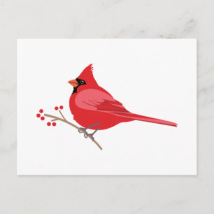 Postal Cardenal septentrional