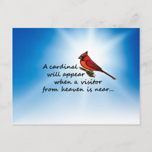 Postal Cardenal, visitante del cielo