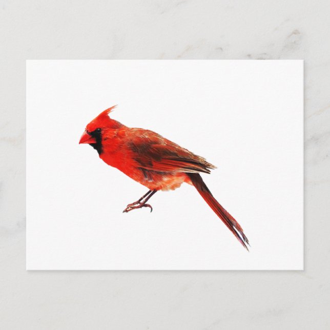 Postal Cardenales (Anverso)