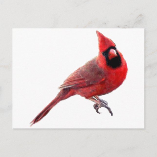 Postal Cardenales (Anverso)