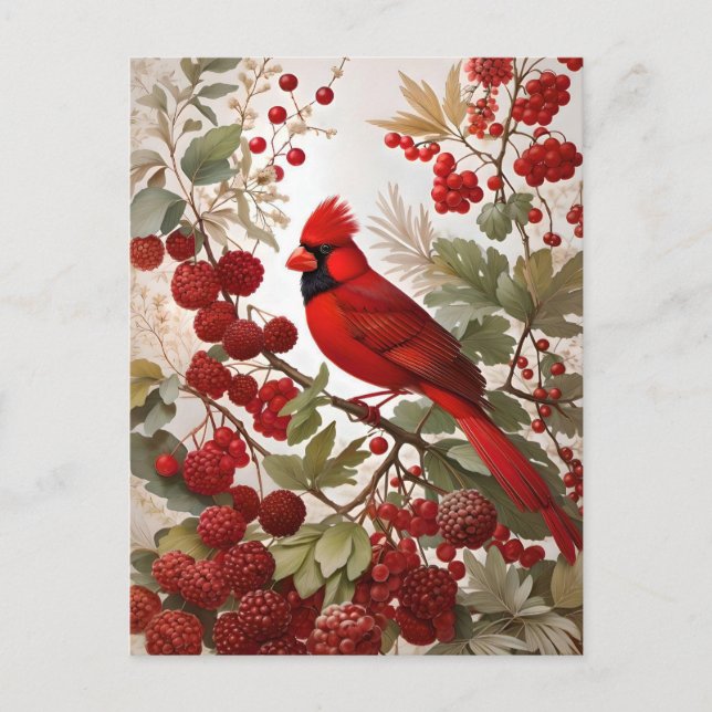 Postal Cardenales del norte de Bird Red Berries (Anverso)