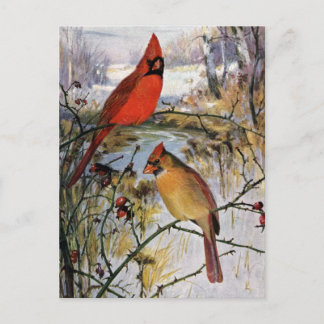 Postal Cardenales en invierno